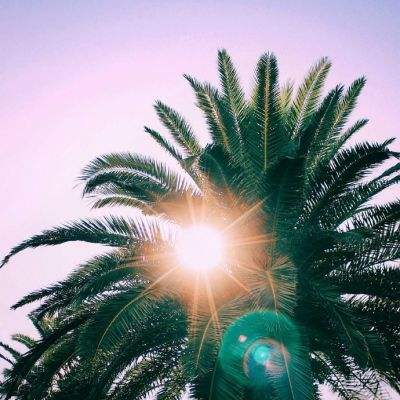 CQ9电子手机app下载